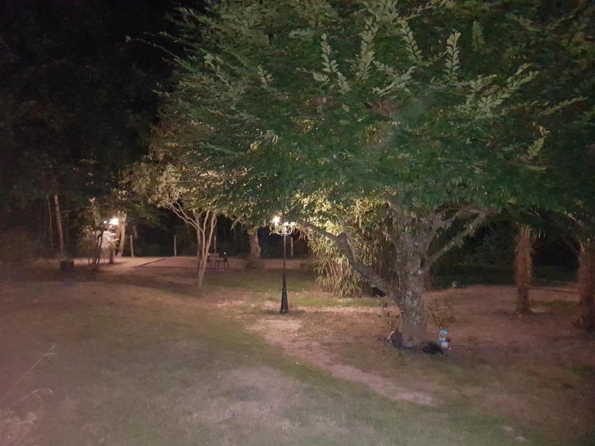 Domaine De Sahil Bed & Breakfast Saint-Romain-sur-Cher Luaran gambar